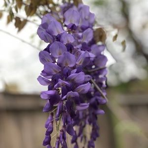 Meet your Posher, Lidia